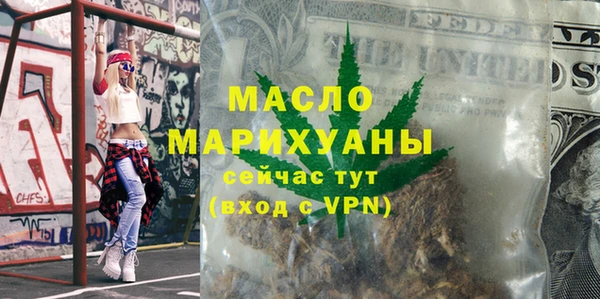 эйфоретик Гусь-Хрустальный