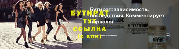эйфоретик Гусь-Хрустальный