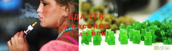 эйфоретик Гусь-Хрустальный