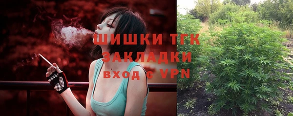 эйфоретик Гусь-Хрустальный