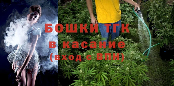 эйфоретик Гусь-Хрустальный