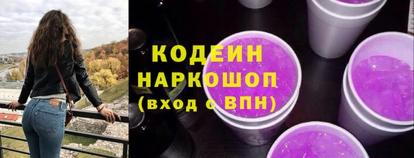 эйфоретик Гусь-Хрустальный